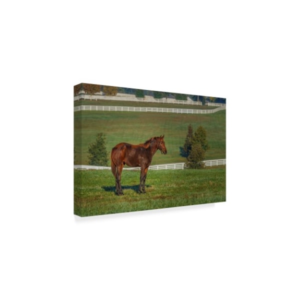 Galloimages Online 'Out Standing In His Field Oil Paint' Canvas Art,30x47